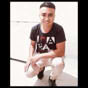 hernanifabri487