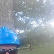 Vichdz906