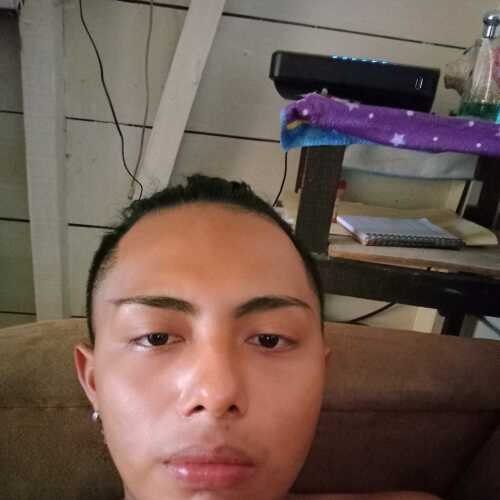 Pollo485