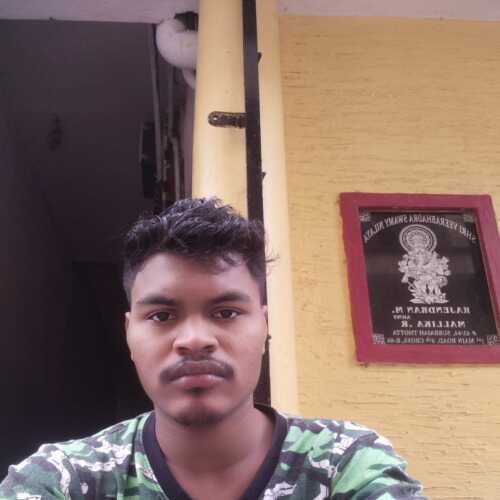 pRabin524