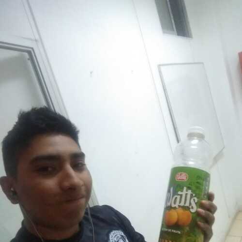 palarconalar335