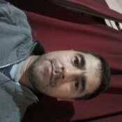 Tomer2019