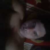 sadamlo559
