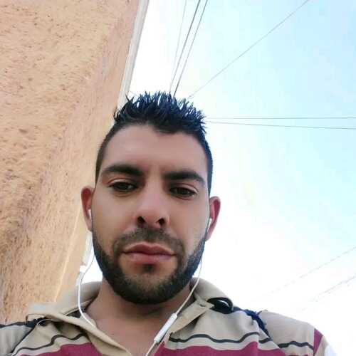 Pajarodavid1234