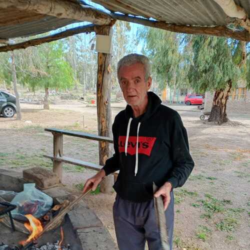 Gringo