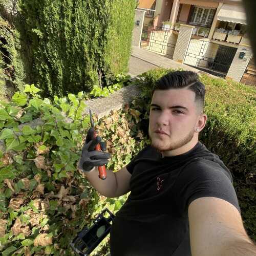 david287