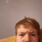 morgankitton