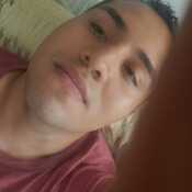 nive369