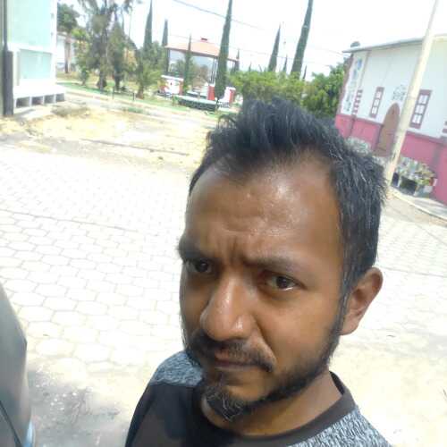 eyalhad571