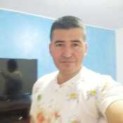 anibal