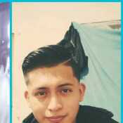 Morenozela337