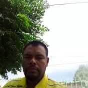 diar310