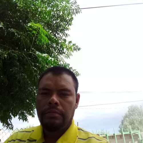 diar310