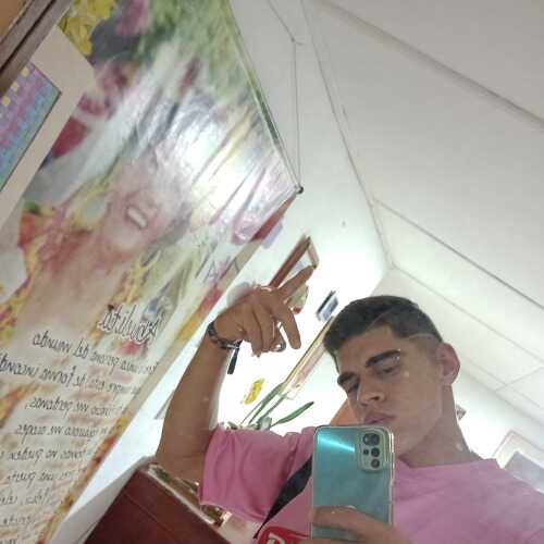 Pollo23