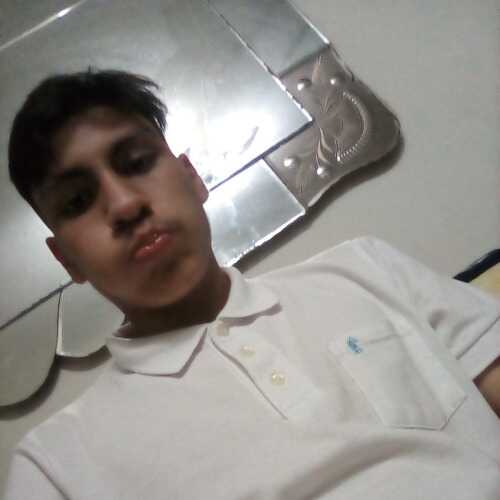 Dominick23cx
