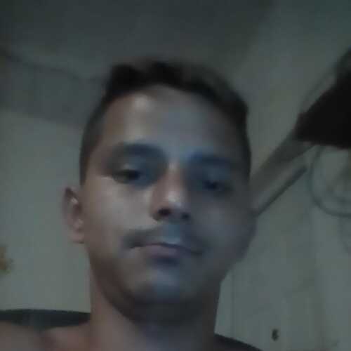 daison15
