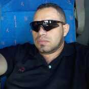 arbel2021