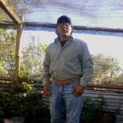 LorenzoAntofagasta