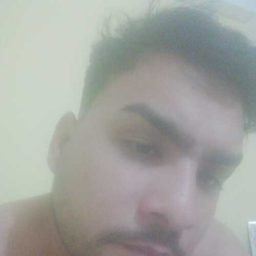 ervinvel779