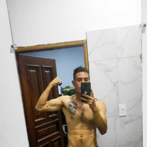 danispse230