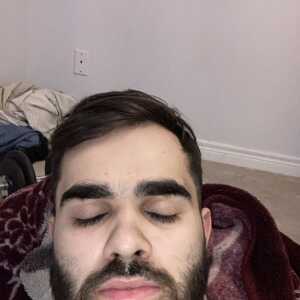 AdorableSharkibgajd