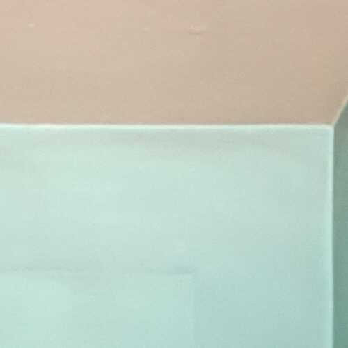 sharolor481