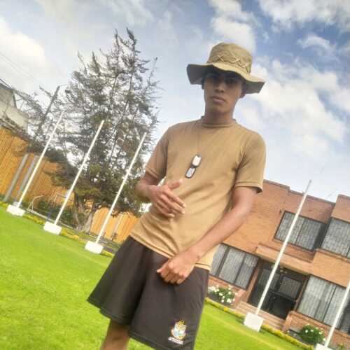darioar733
