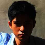 cloverfort