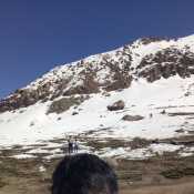 cientouno72