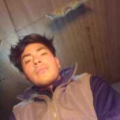 losda17cm