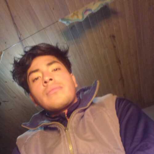 losda17cm