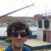 Fito119
