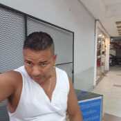 Bebus