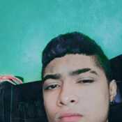 zapamor328