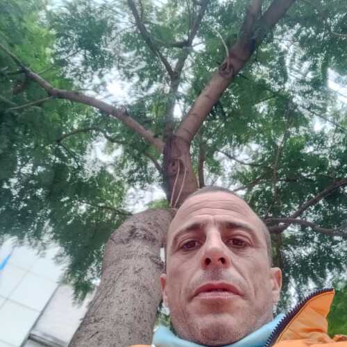 Ernesto 