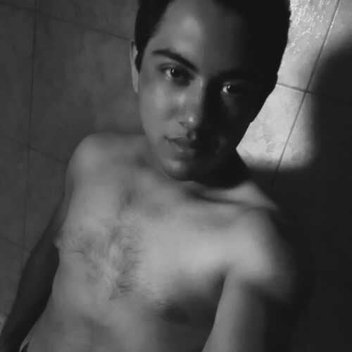 soy un tigre en la cama