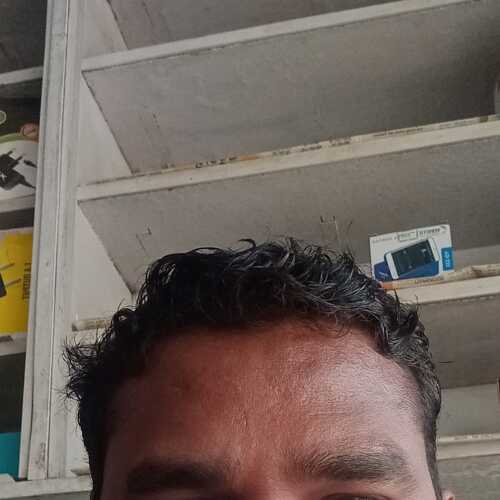 krishnadailyne425