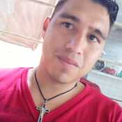 romanodan274
