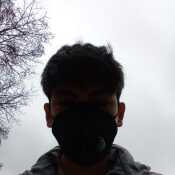 alvsex