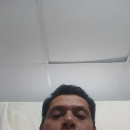 mecias