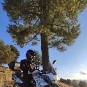 Galey24