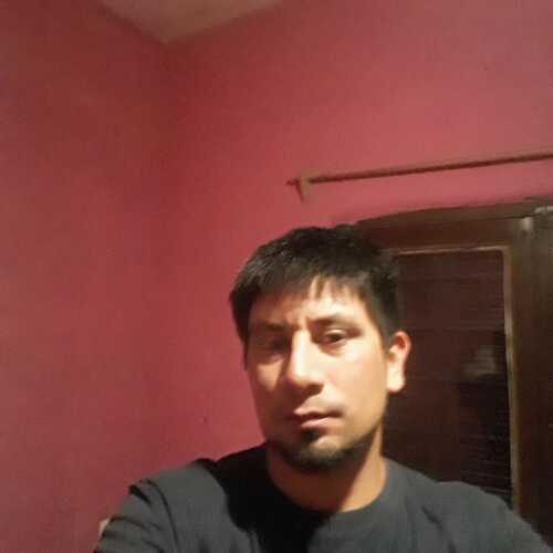 david288qarte