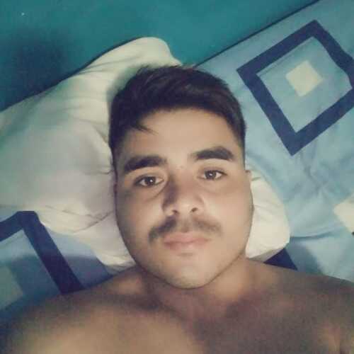 luismiguelalvas291