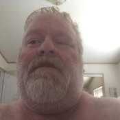 bushybushfi854