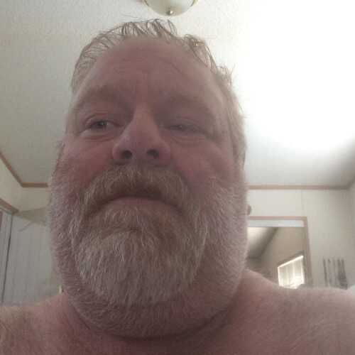bushybushfi854