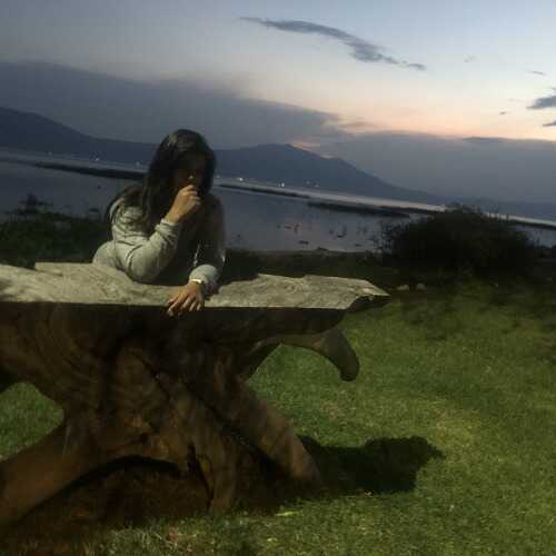 Sofihector