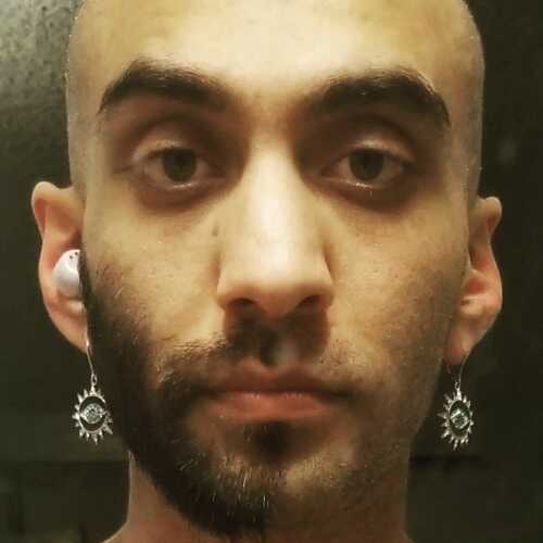Shad