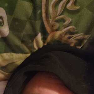 ffcibjbheehfebgf