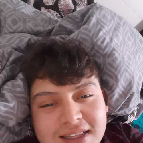 bancesdan481