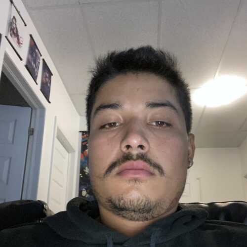 camilovoise669
